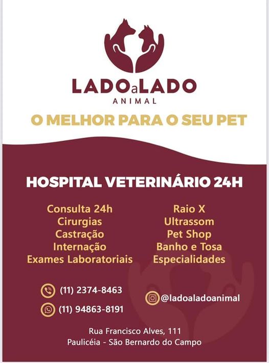 Lado Alado Animal